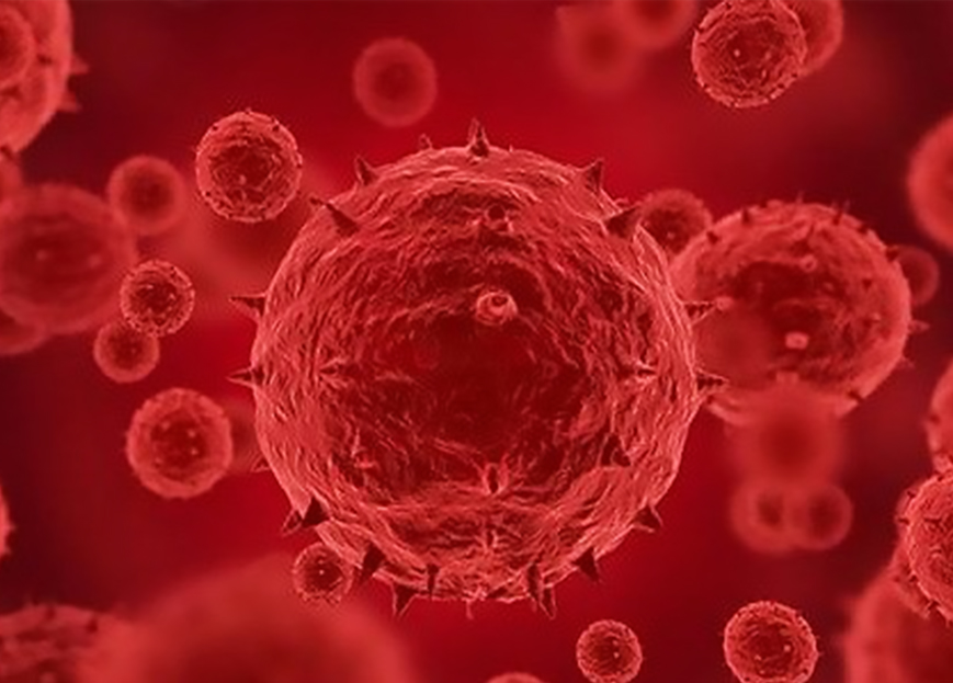 勇于担当，积极应对猴痘病毒疫情—上泰生物成功研发出猴痘病毒检测试剂盒